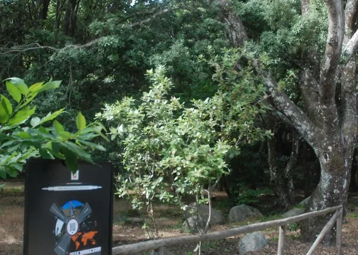 Hotel Bosco Selene Lanusei