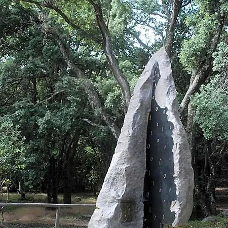 Bosco Selene Lanusei