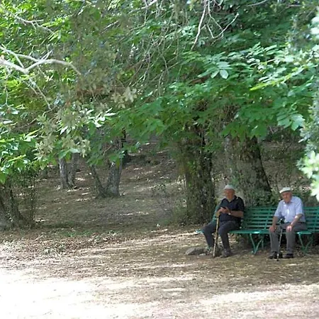 Bosco Selene